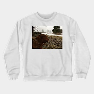 Scottish Highland Cattle Cow 2313 Crewneck Sweatshirt